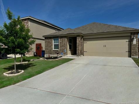 1924 Grey Wagtail New Braunfels TX 78130