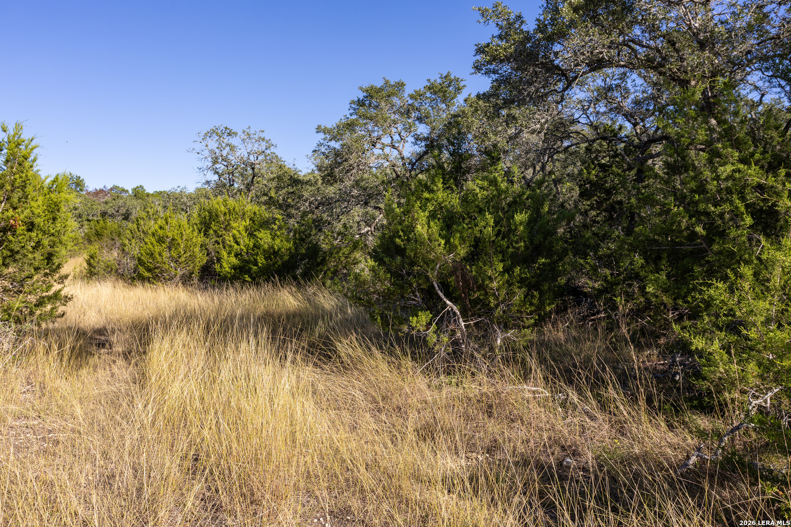 Block 1, Lot 23 Standing Tall Boerne TX 78006