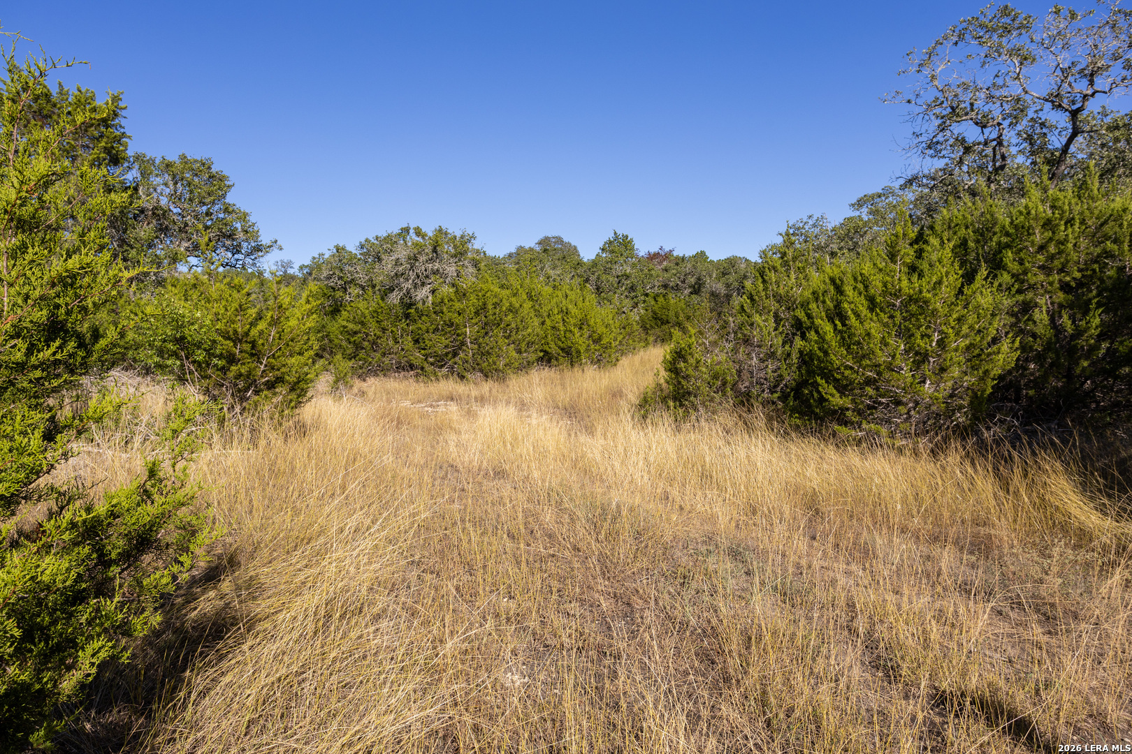Block 1, Lot 23 Standing Tall Boerne TX 78006