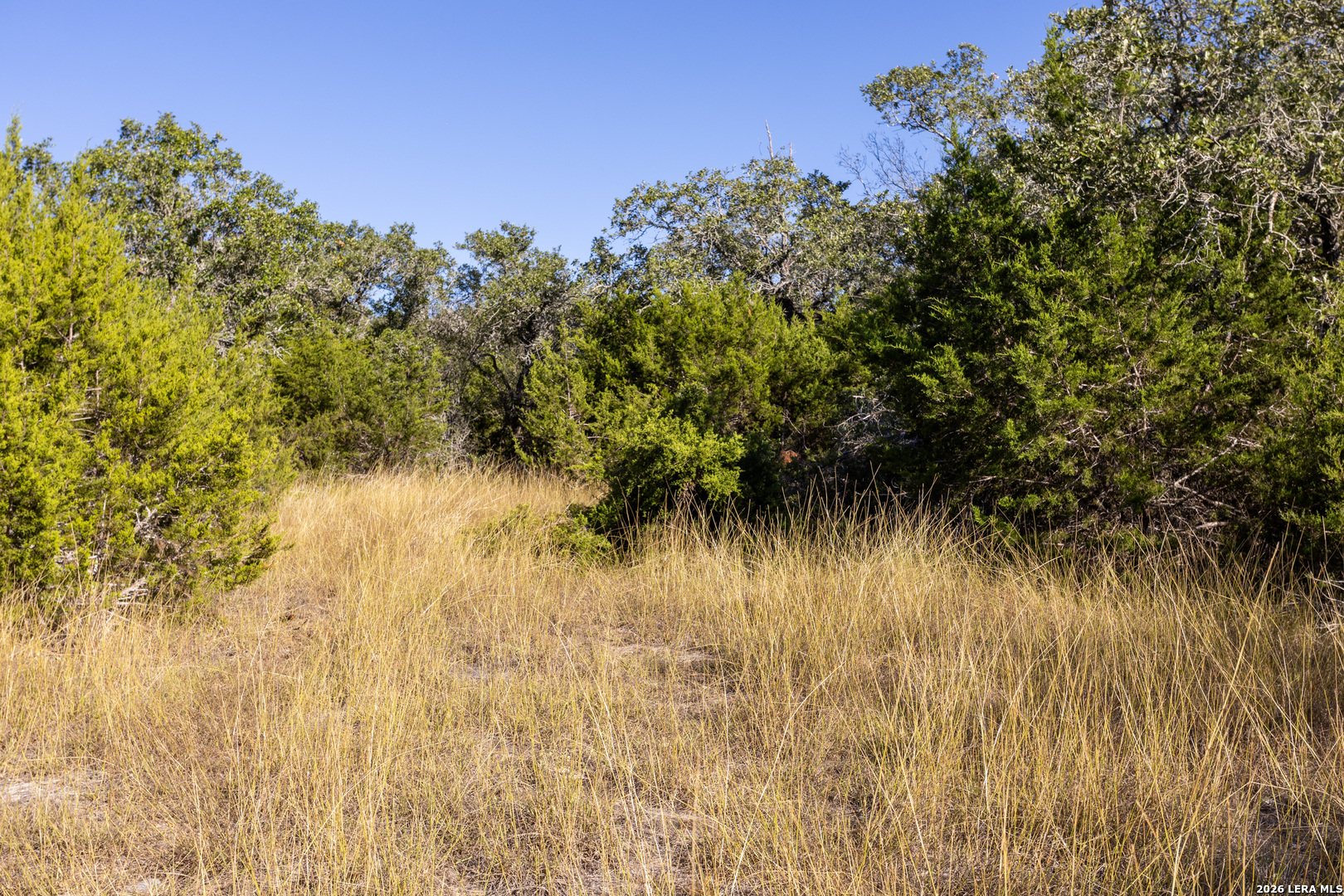 Block 1, Lot 23 Standing Tall Boerne TX 78006