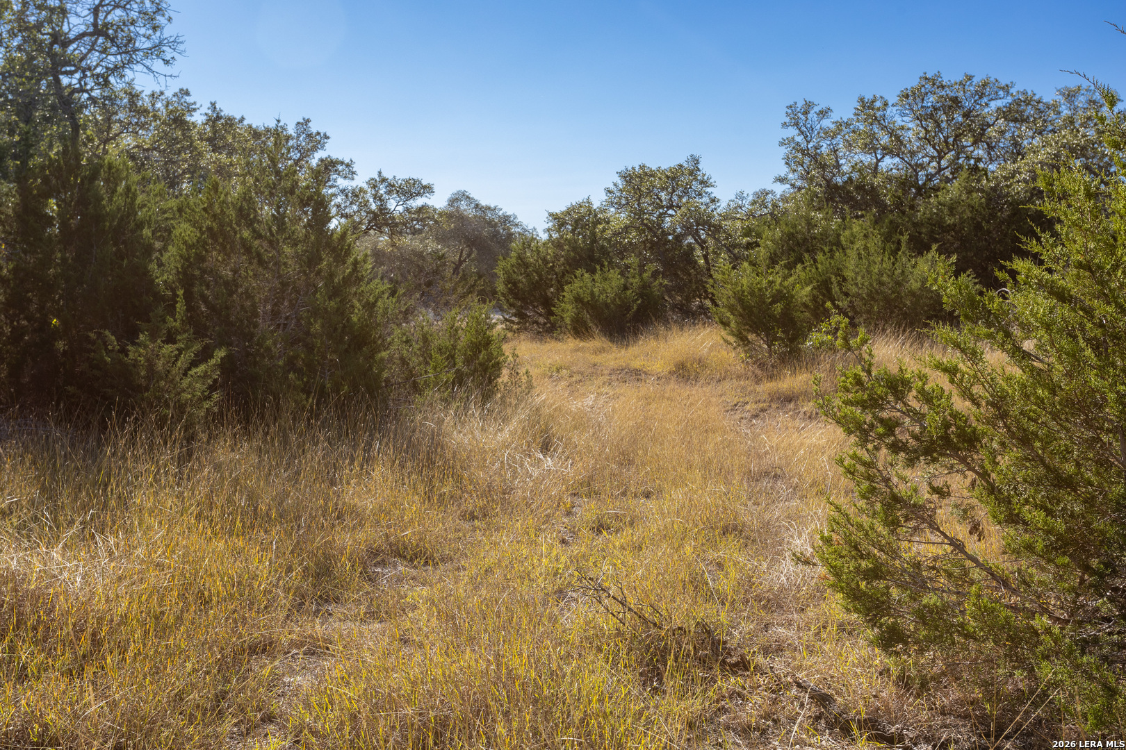 Block 1, Lot 23 Standing Tall Boerne TX 78006