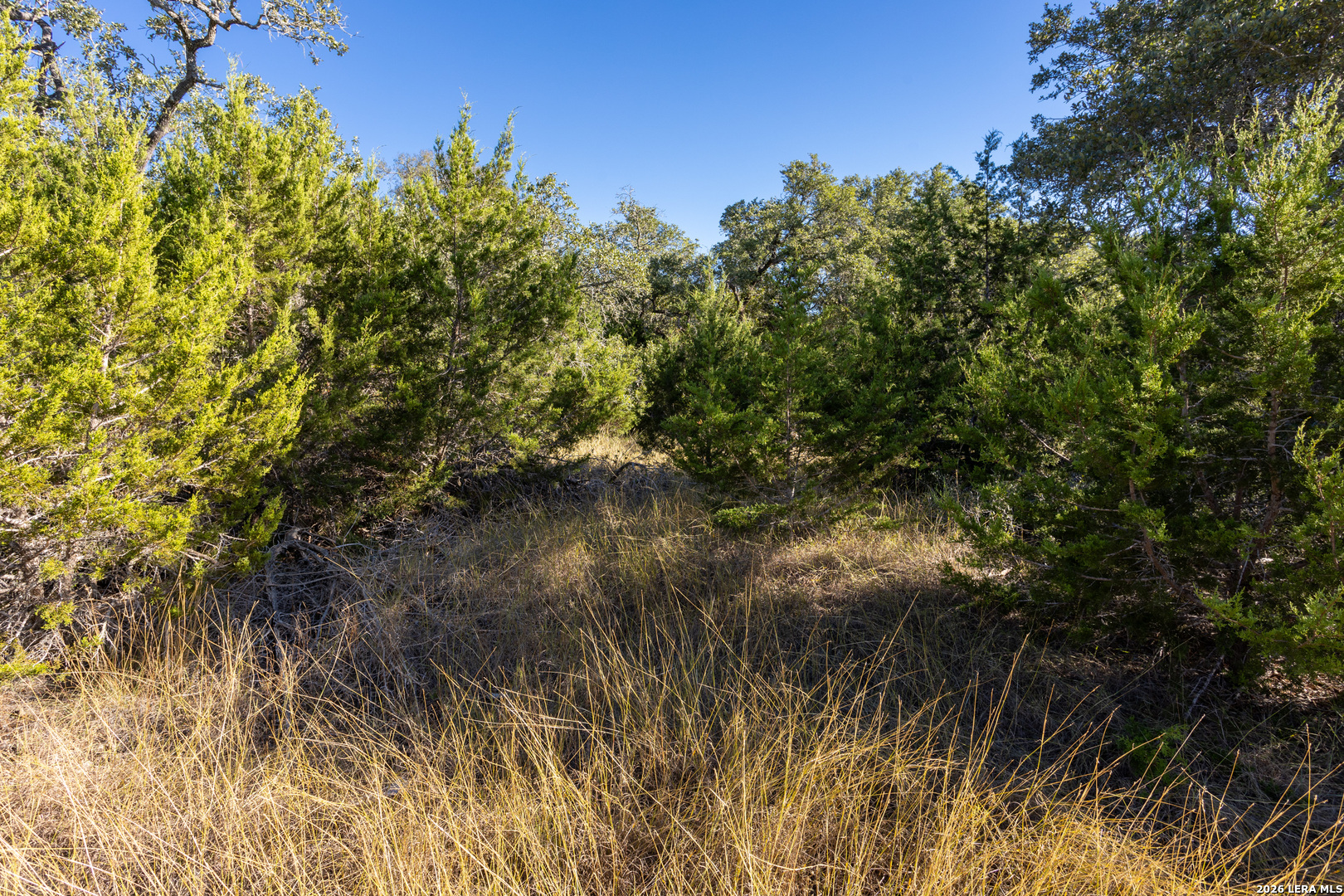 Block 1, Lot 23 Standing Tall Boerne TX 78006