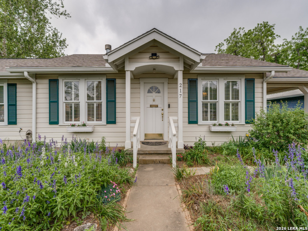 217 W Morse Street Fredericksburg TX 78624