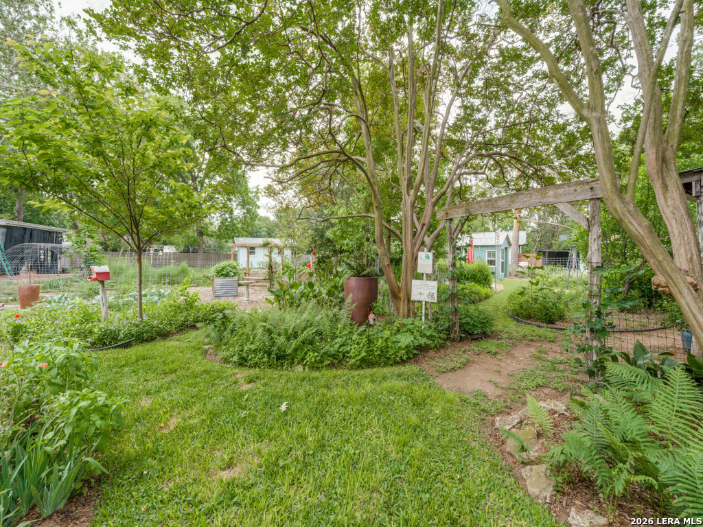 217 W Morse Street Fredericksburg TX 78624