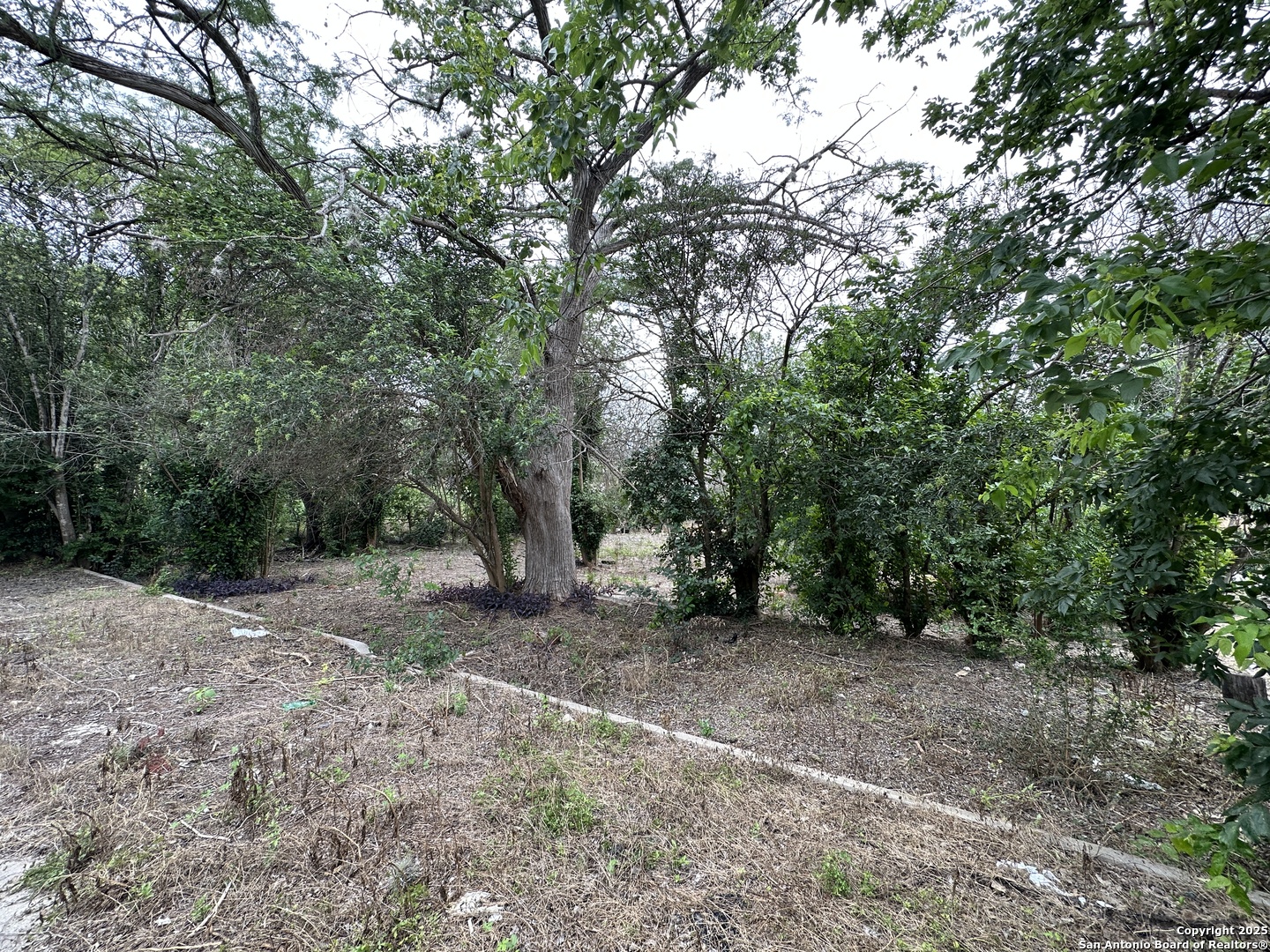 139 Anderson San Antonio TX 78203