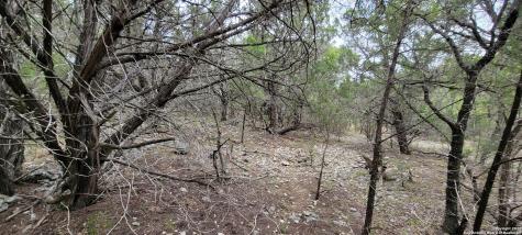 656 Kindersley Street Canyon Lake TX 78133