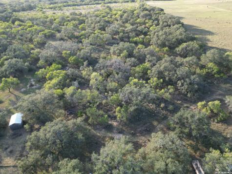 2525 Tomblin Road Bigfoot TX 78005
