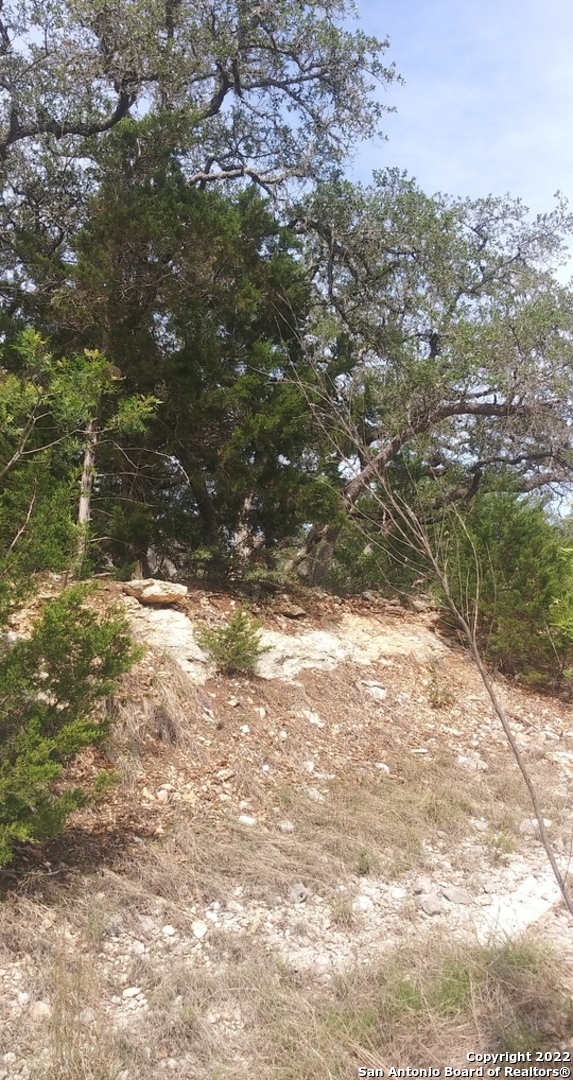 825 Rutherford Fischer TX 78623