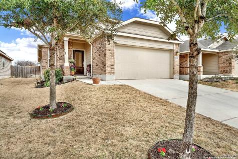 2325 Arctic Warbler New Braunfels TX 78130