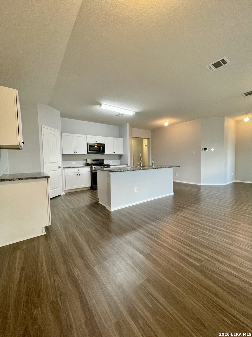 516 Agave Flats Drive New Braunfels TX 78130