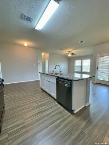 516 Agave Flats Drive New Braunfels TX 78130