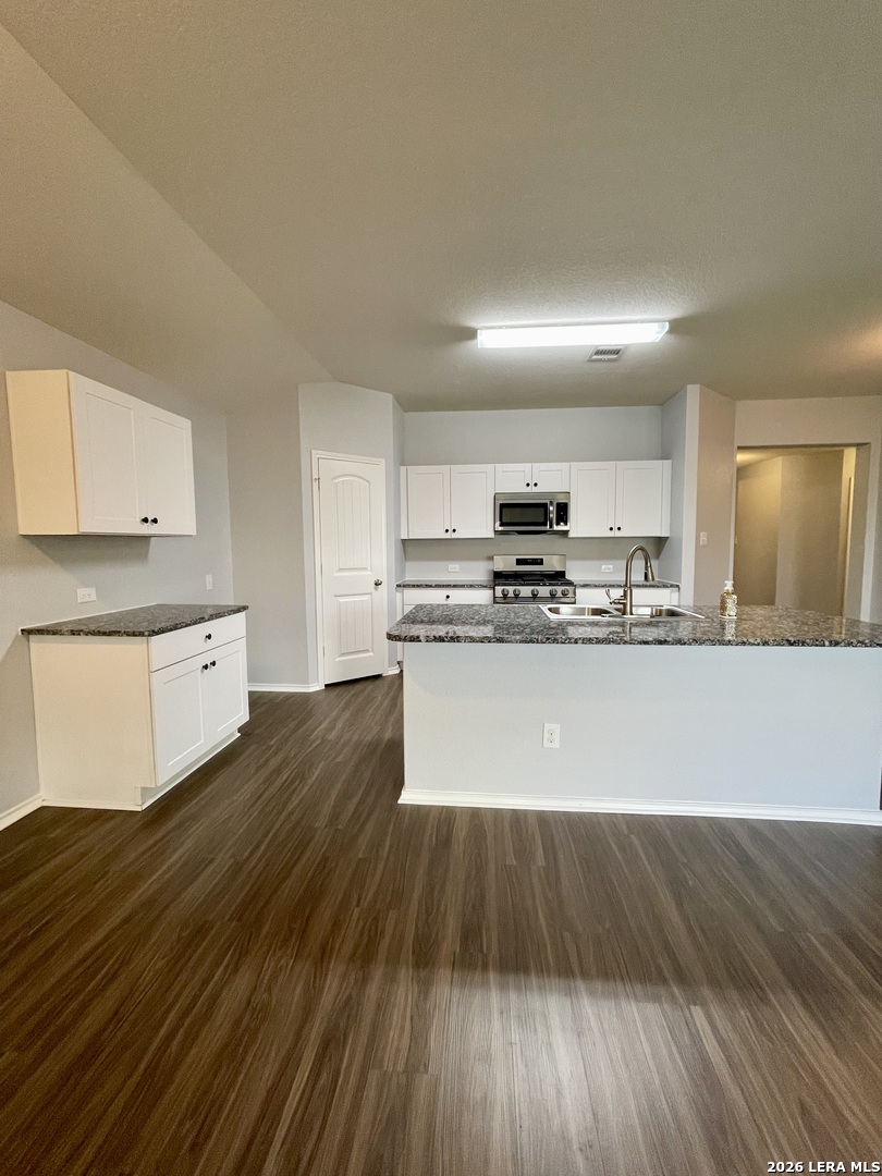 516 Agave Flats Drive New Braunfels TX 78130