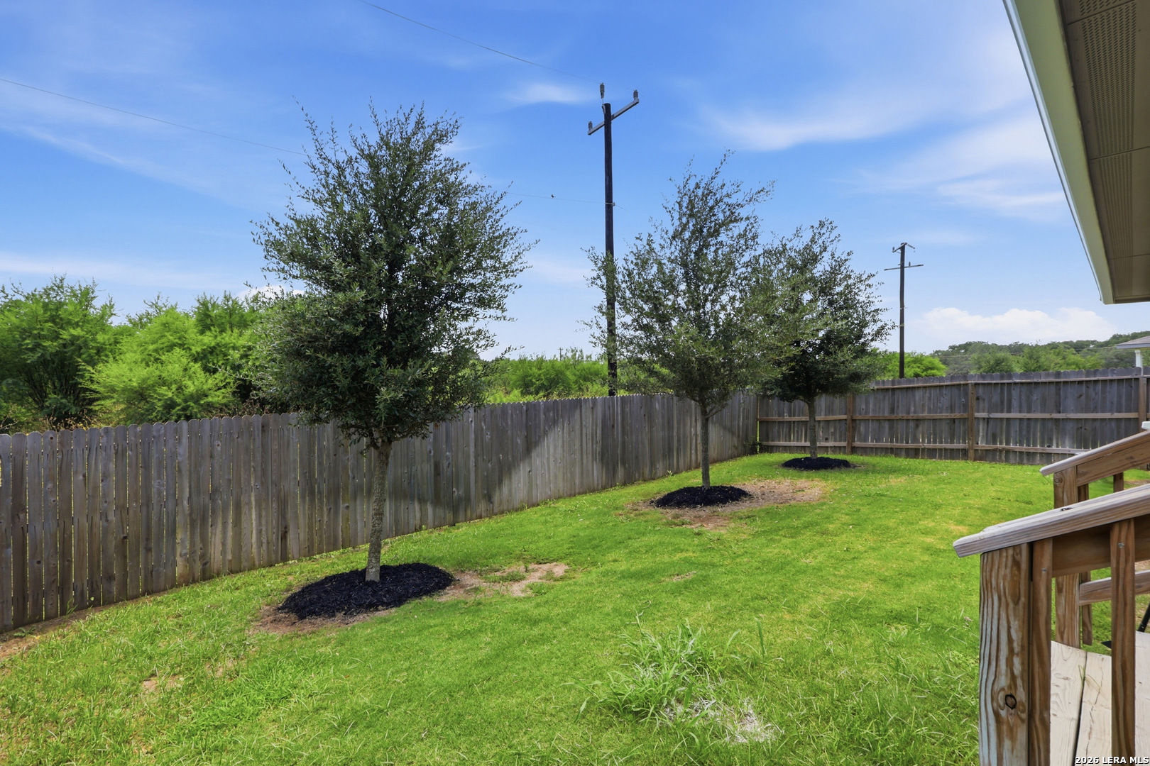 293 Grey Woodpecker San Antonio TX 78253