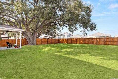 175 Honey Oak New Braunfels TX 78130