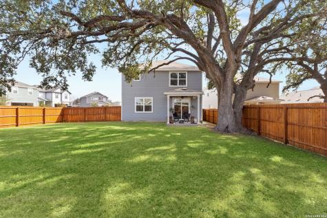 175 Honey Oak New Braunfels TX 78130