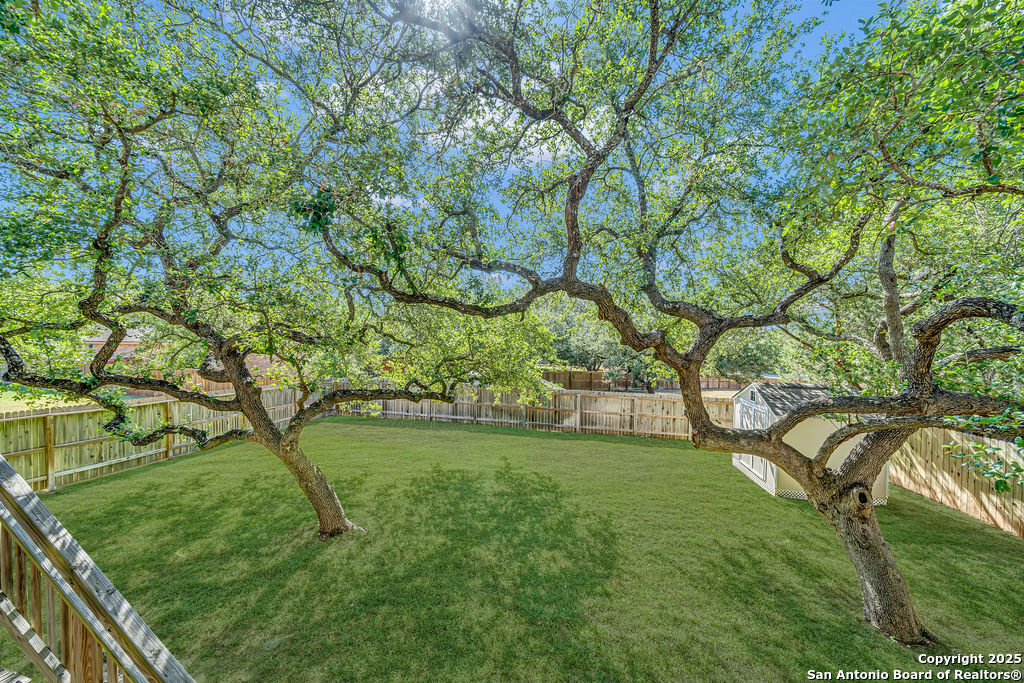 3134 Howling Wolf San Antonio TX 78261