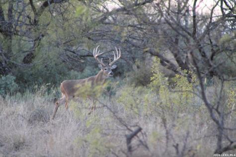 115 Open Country Brady TX 76825