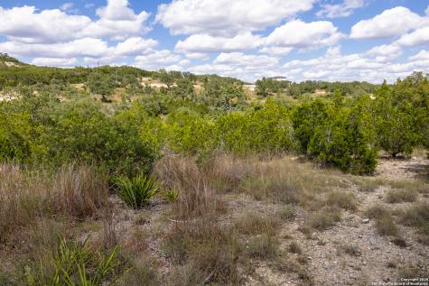 11309 Sloanes Ridge San Antonio TX 78255