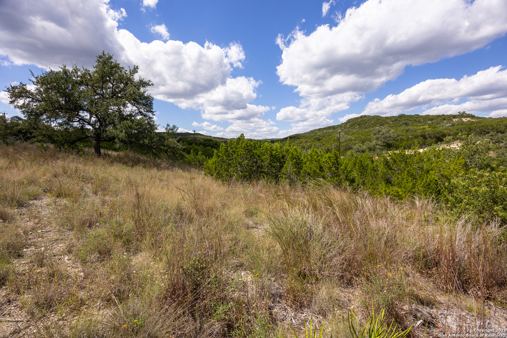 11309 Sloanes Ridge San Antonio TX 78255