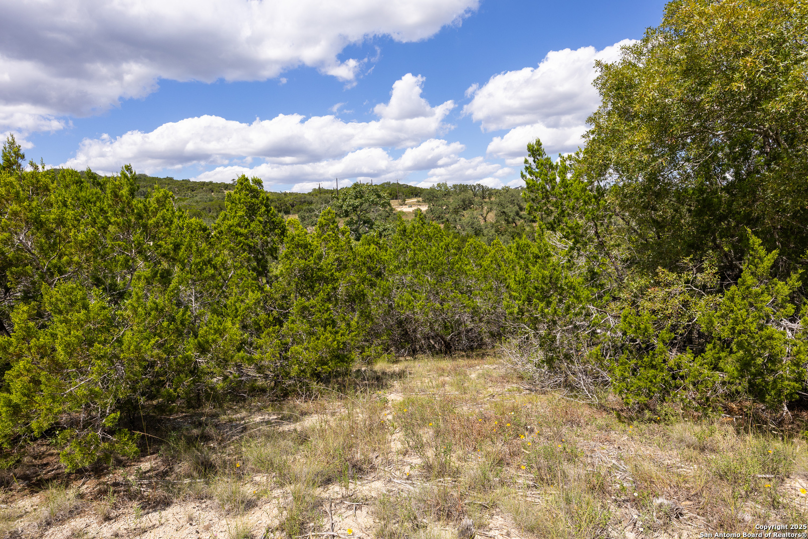 11309 Sloanes Ridge San Antonio TX 78255