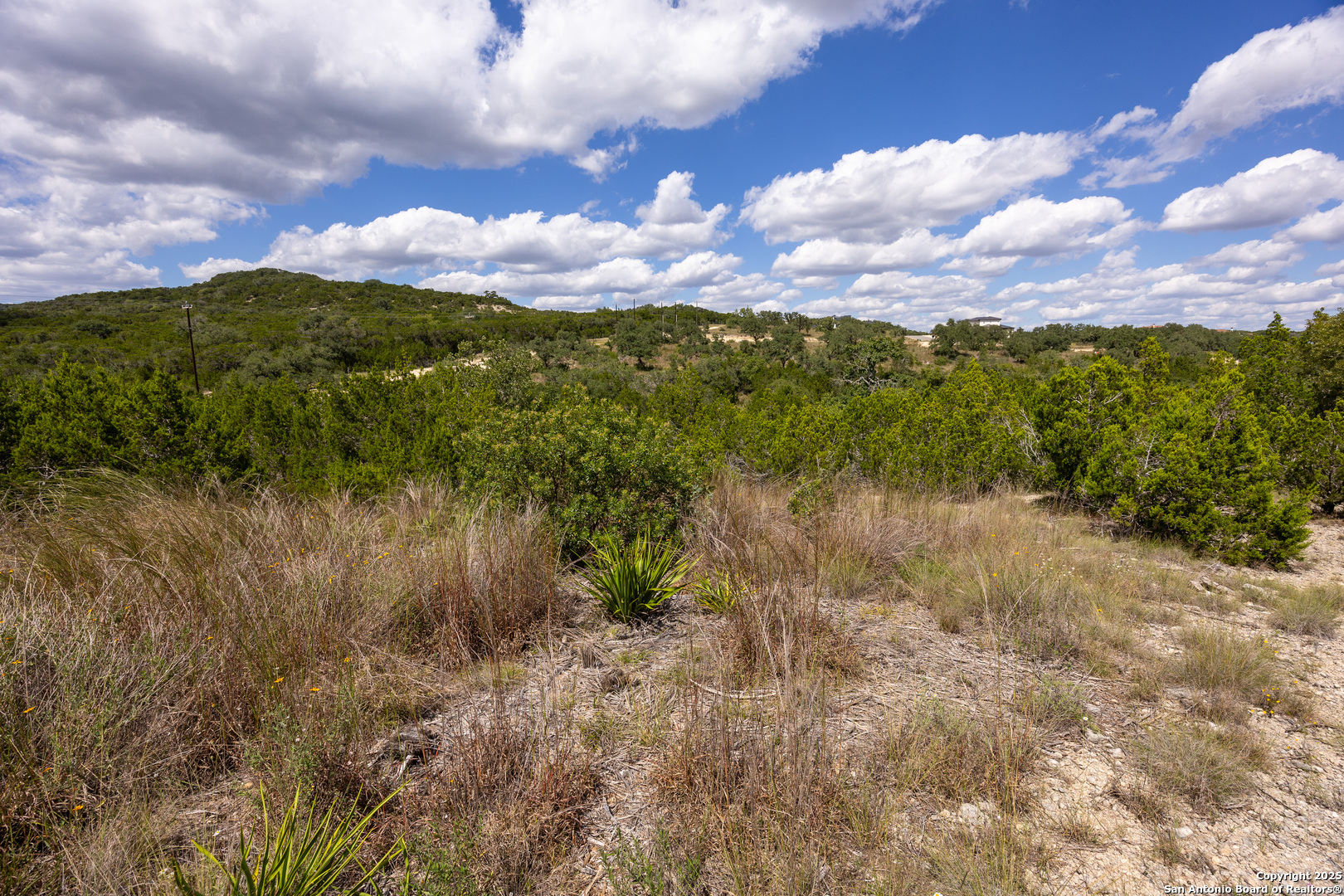 11309 Sloanes Ridge San Antonio TX 78255