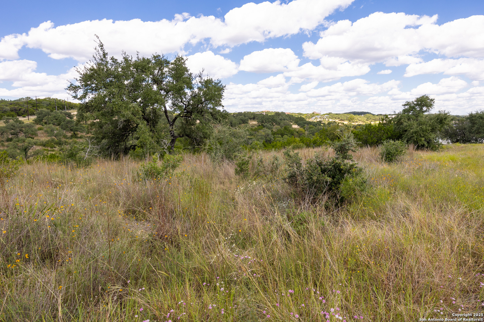 11309 Sloanes Ridge San Antonio TX 78255