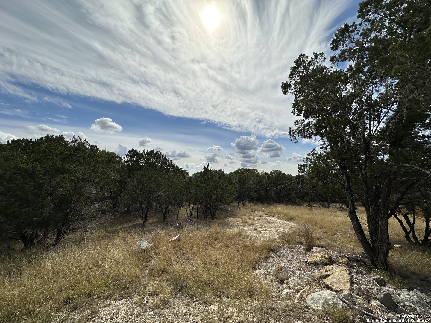 131 Palm Spring Branch TX 78070
