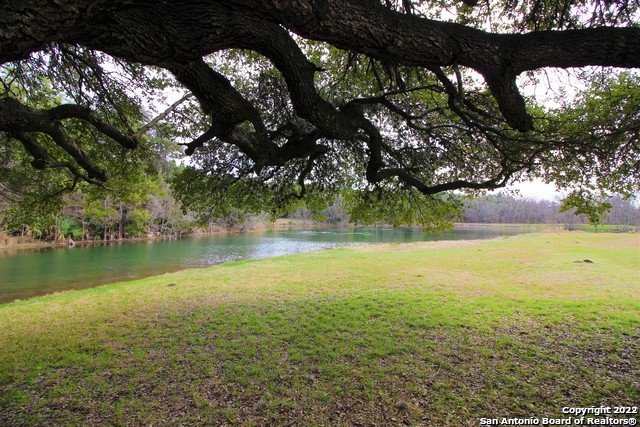 131 Palm Spring Branch TX 78070