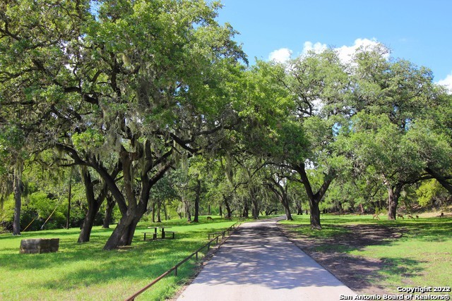 131 Palm Spring Branch TX 78070