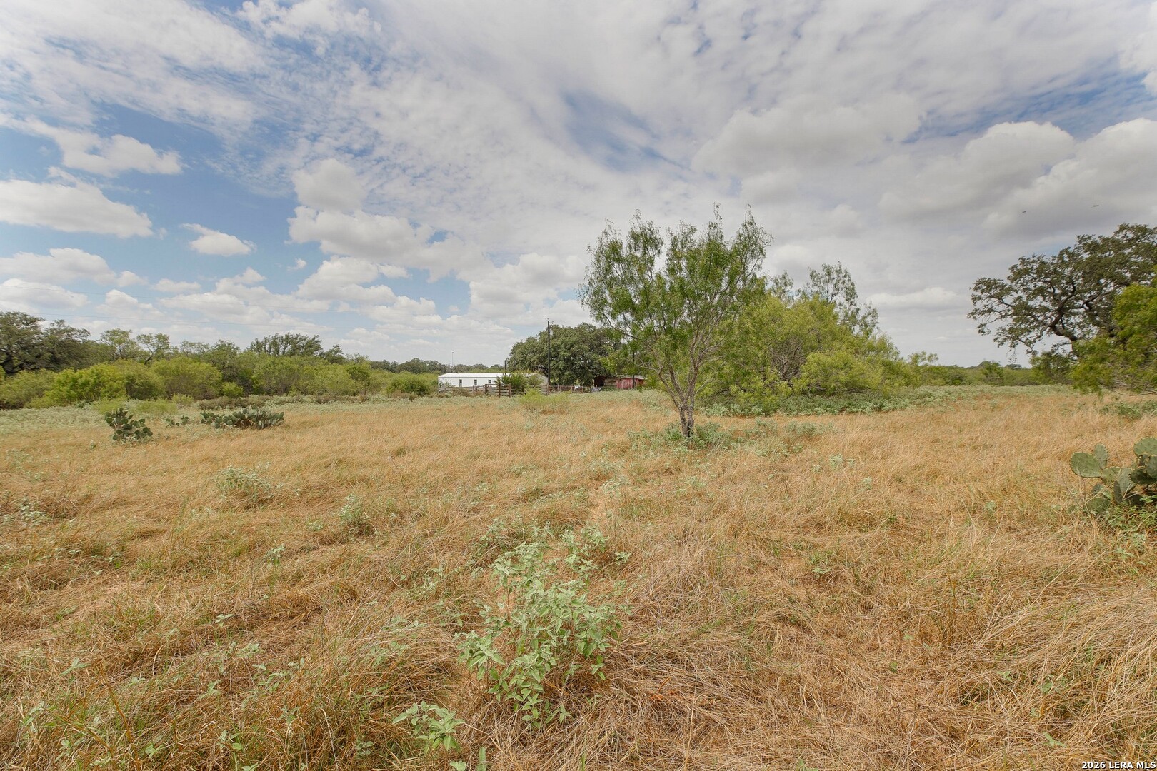 815 Verdi Road Pleasanton TX 78064