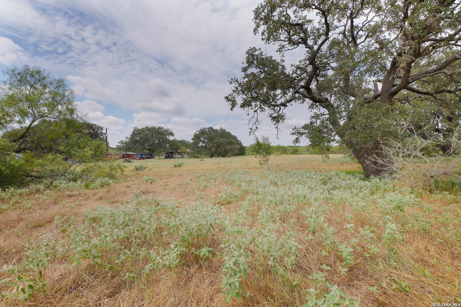 815 Verdi Road Pleasanton TX 78064