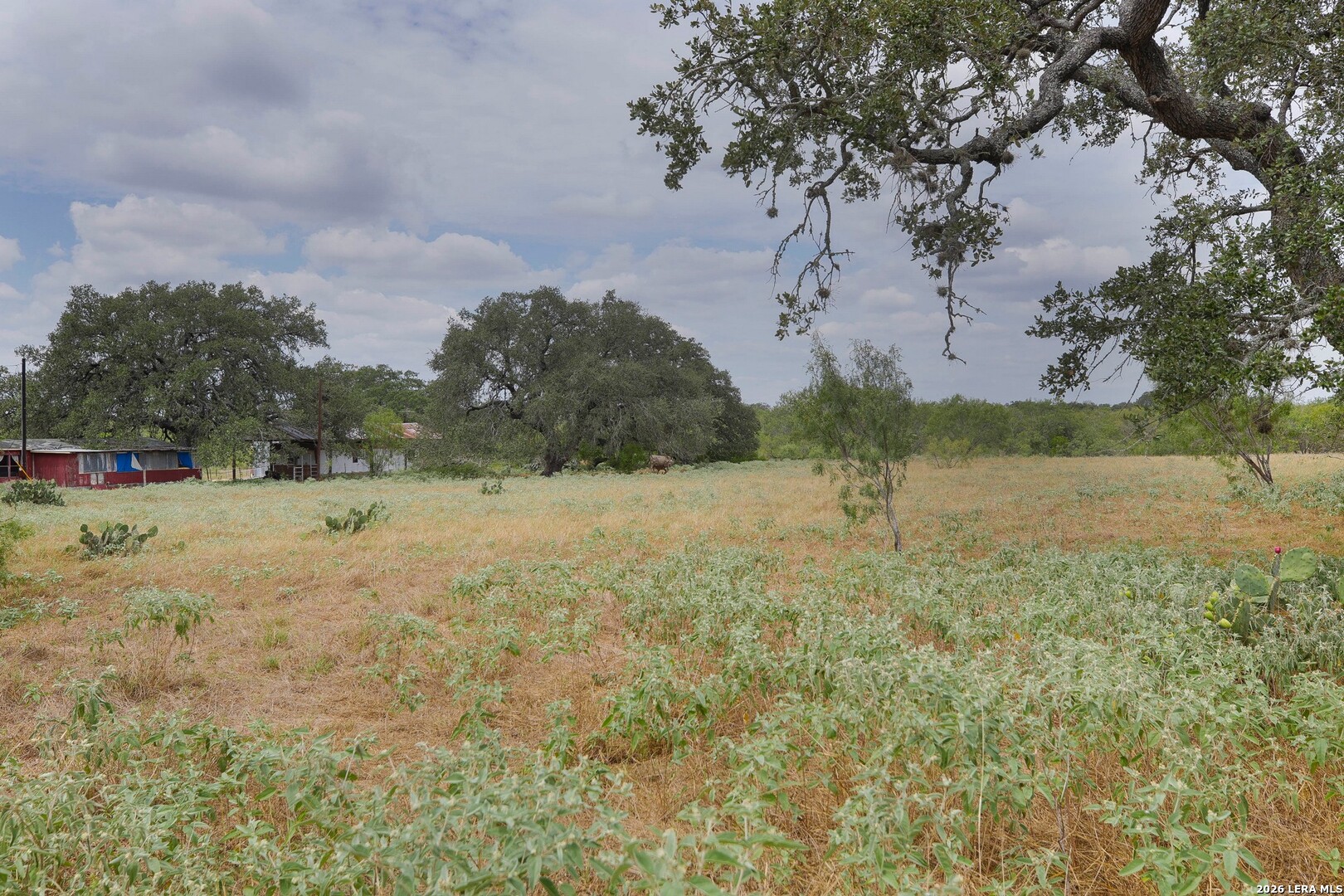 815 Verdi Road Pleasanton TX 78064