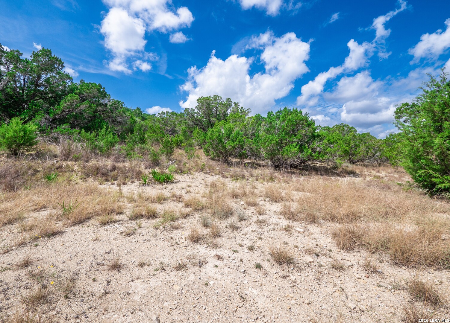 646 Appaloosa Drive Fischer TX 78623