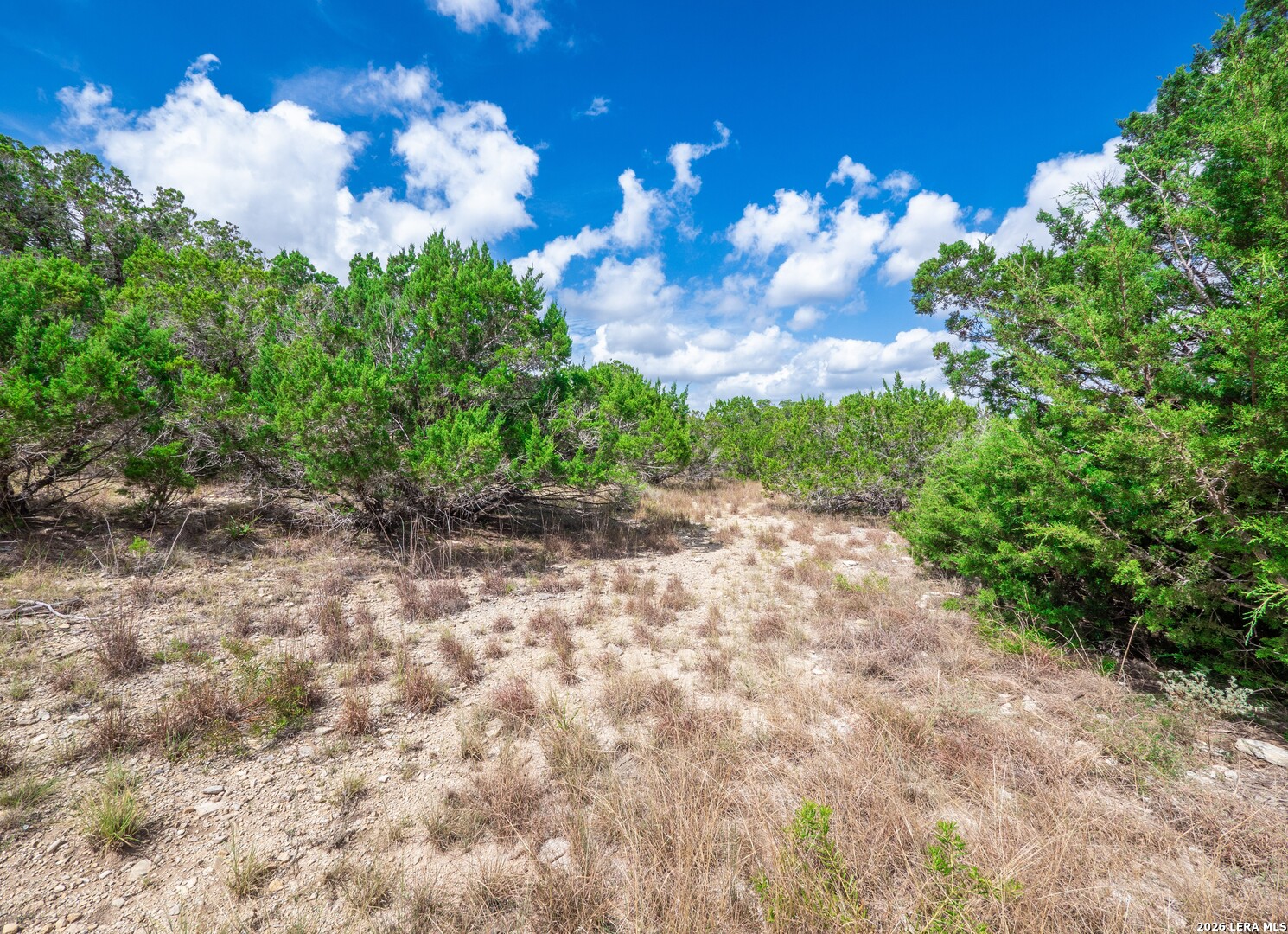 646 Appaloosa Drive Fischer TX 78623