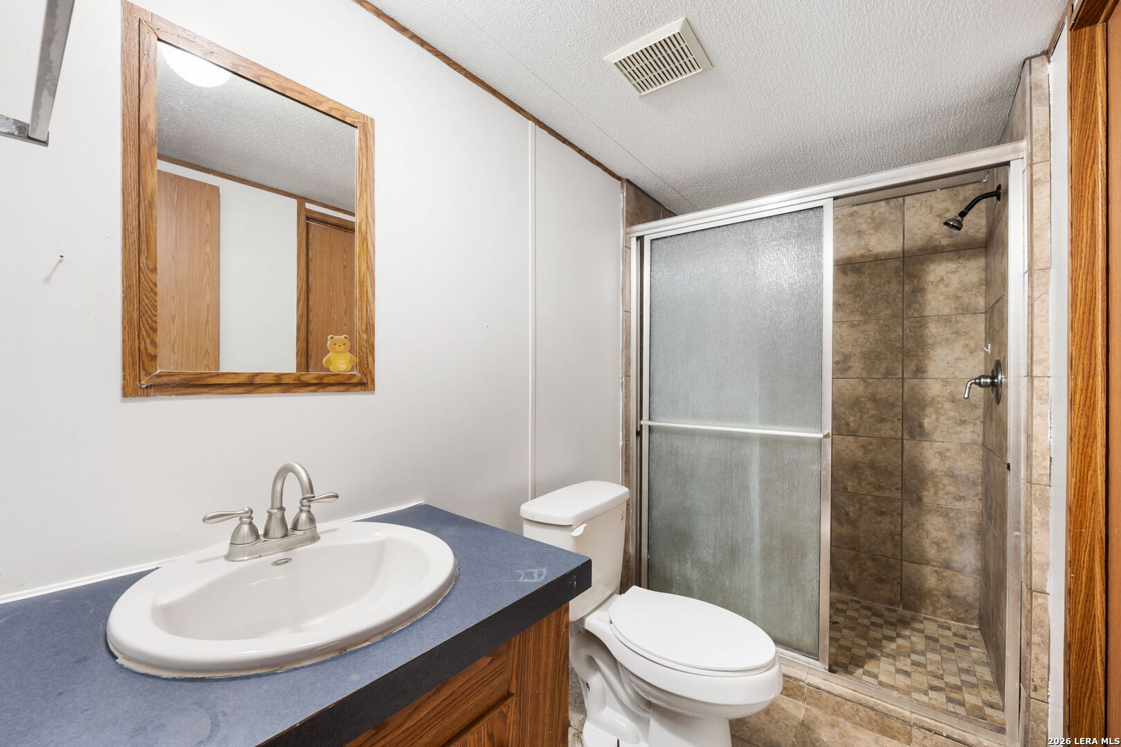 4514 Indian Springs Drive Elmendorf TX 78112