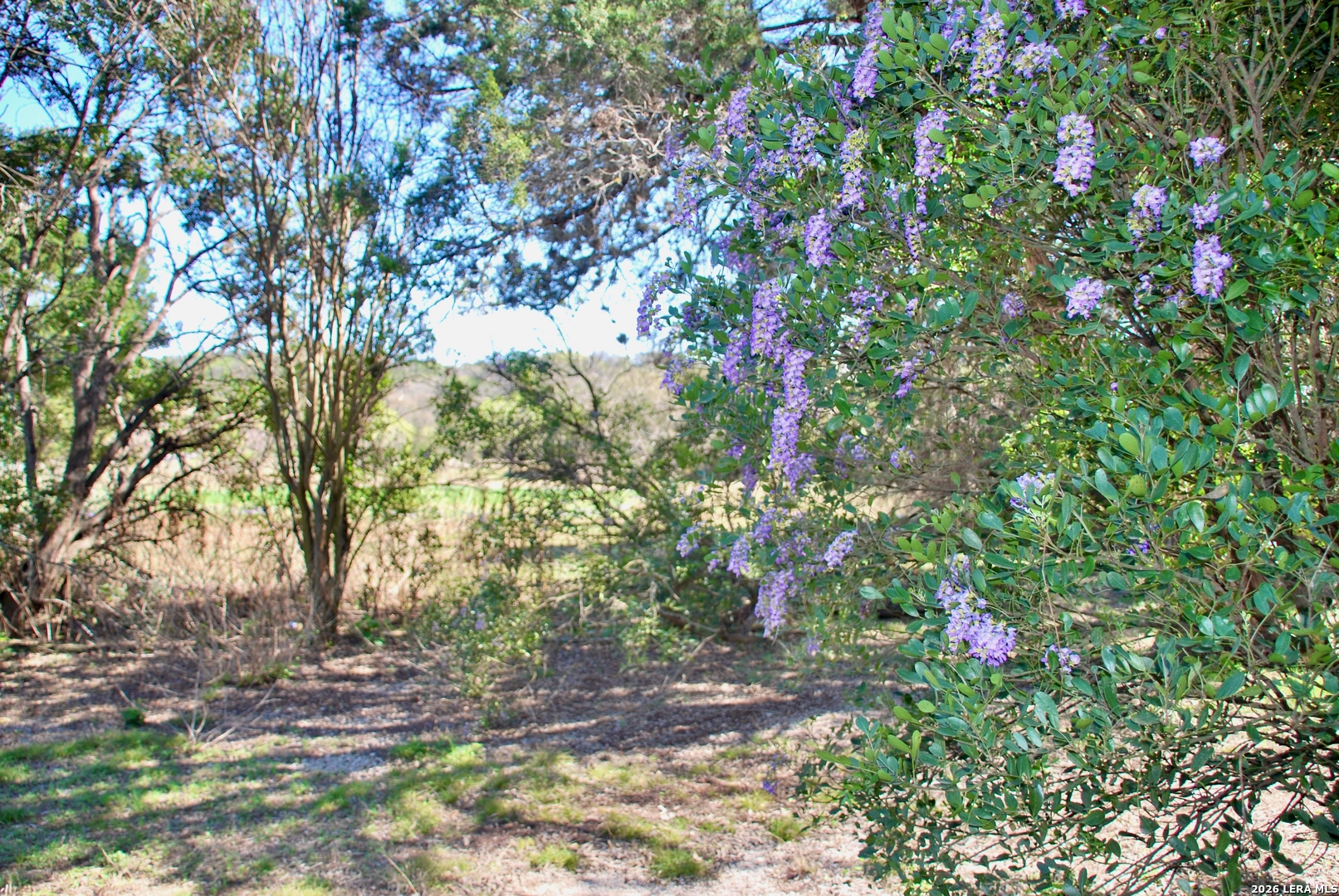625 Mountain Laurel New Braunfels TX 78132