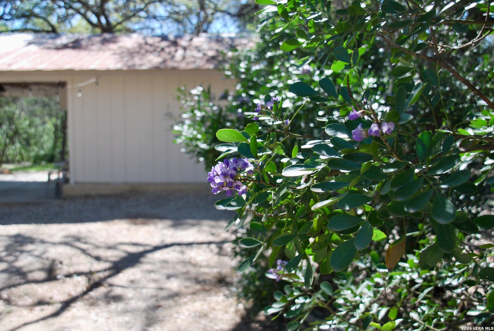 625 Mountain Laurel New Braunfels TX 78132