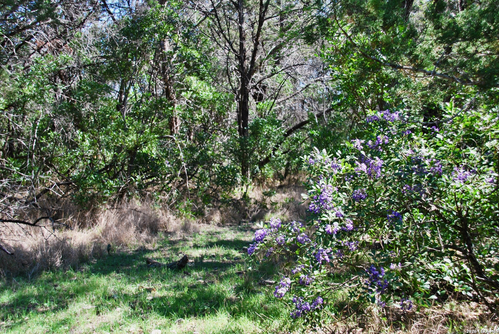 625 Mountain Laurel New Braunfels TX 78132