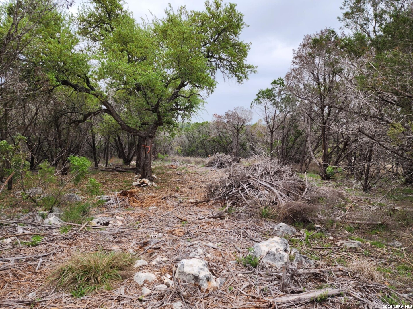 1745 Moon View New Braunfels TX 78132