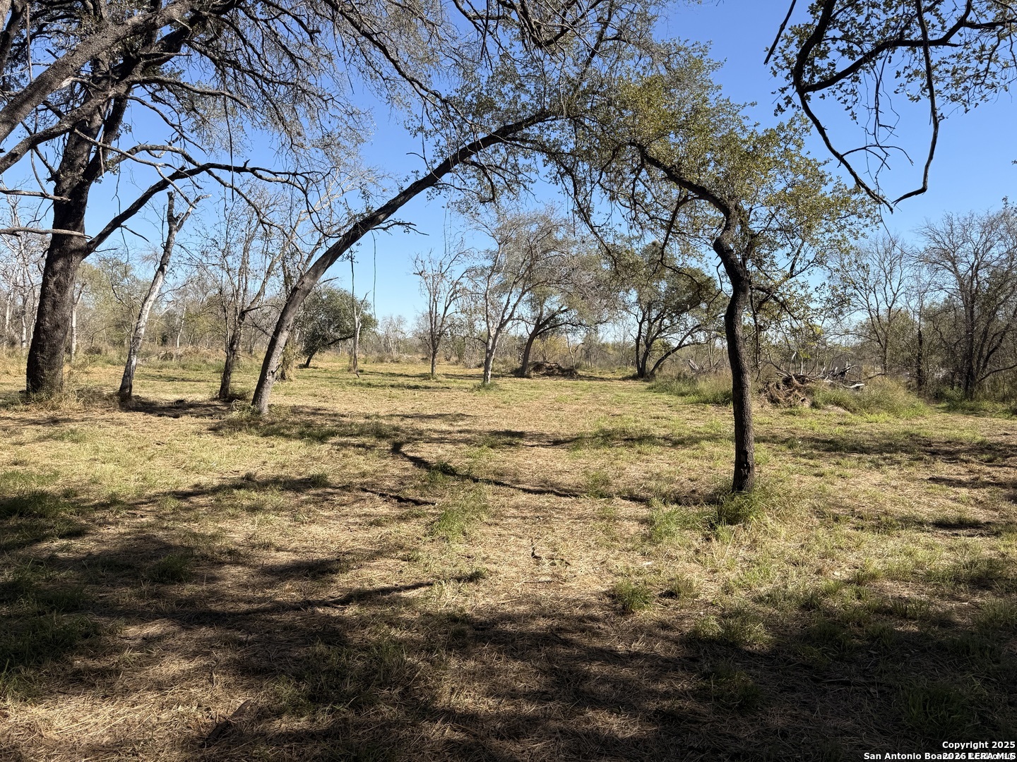 0 Gidley Atascosa TX 78002