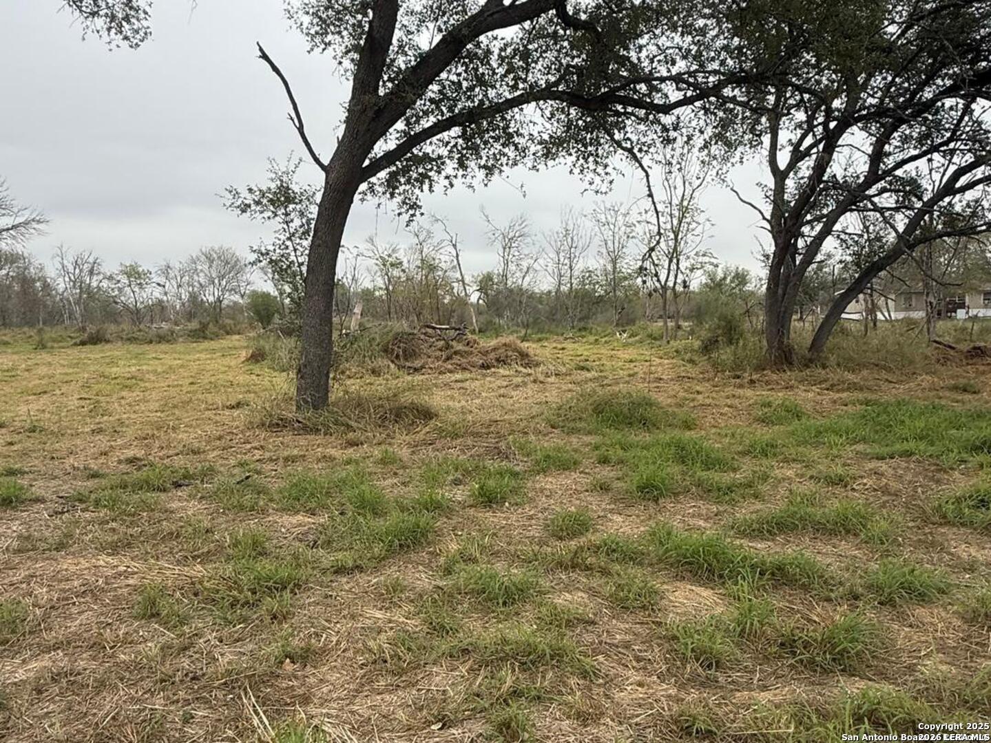 0 Gidley Atascosa TX 78002