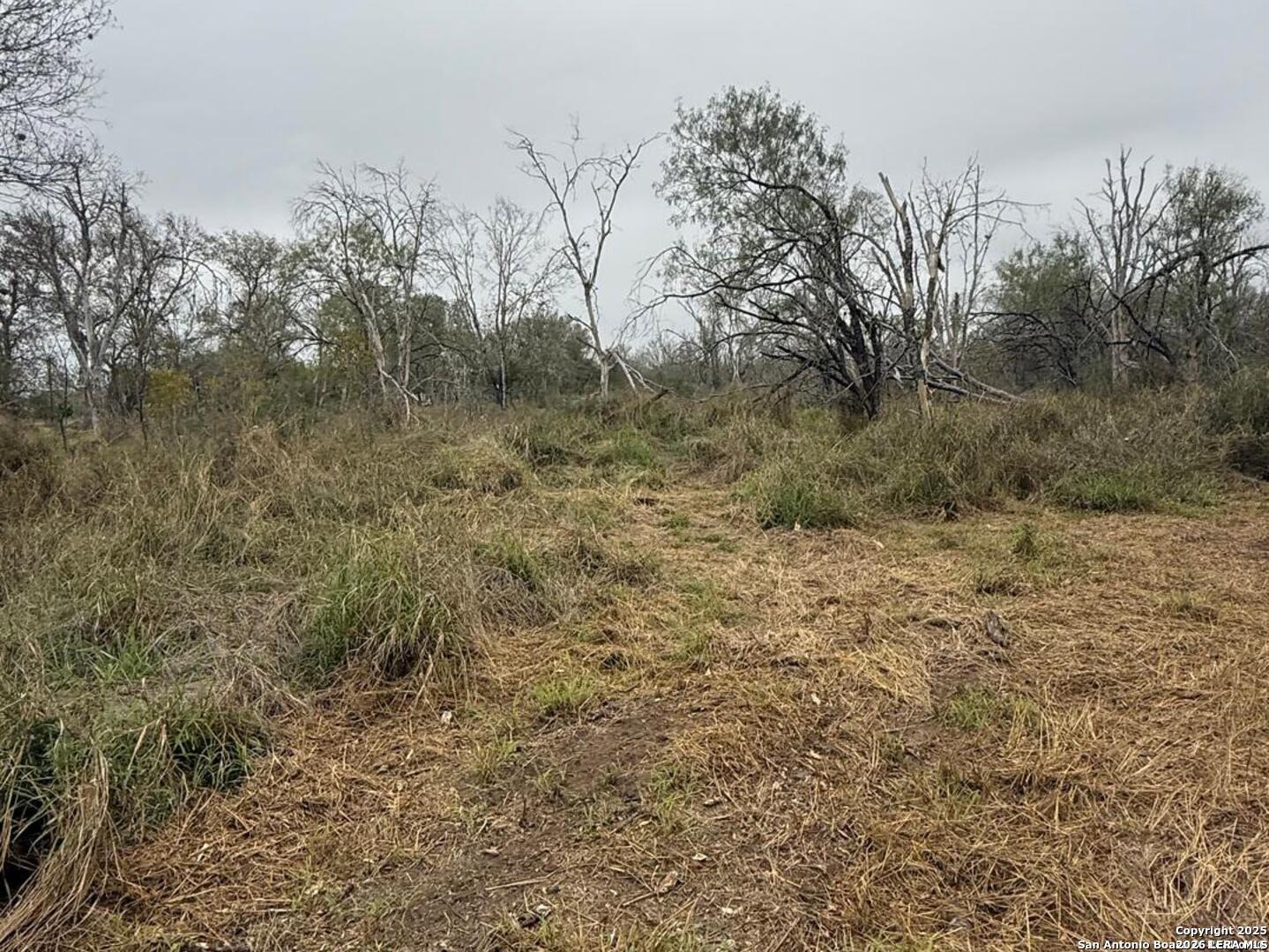 0 Gidley Atascosa TX 78002
