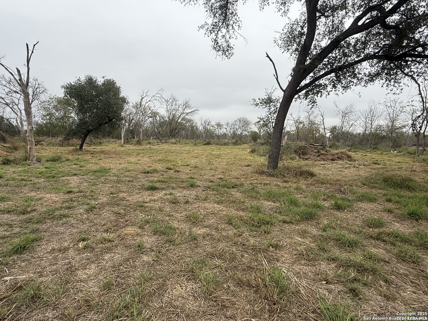 0 Gidley Atascosa TX 78002