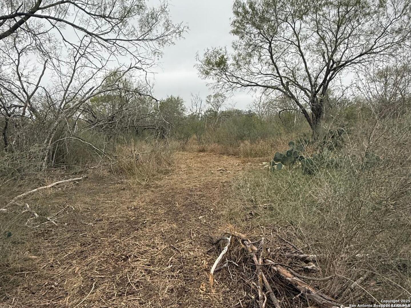 0 Gidley Atascosa TX 78002