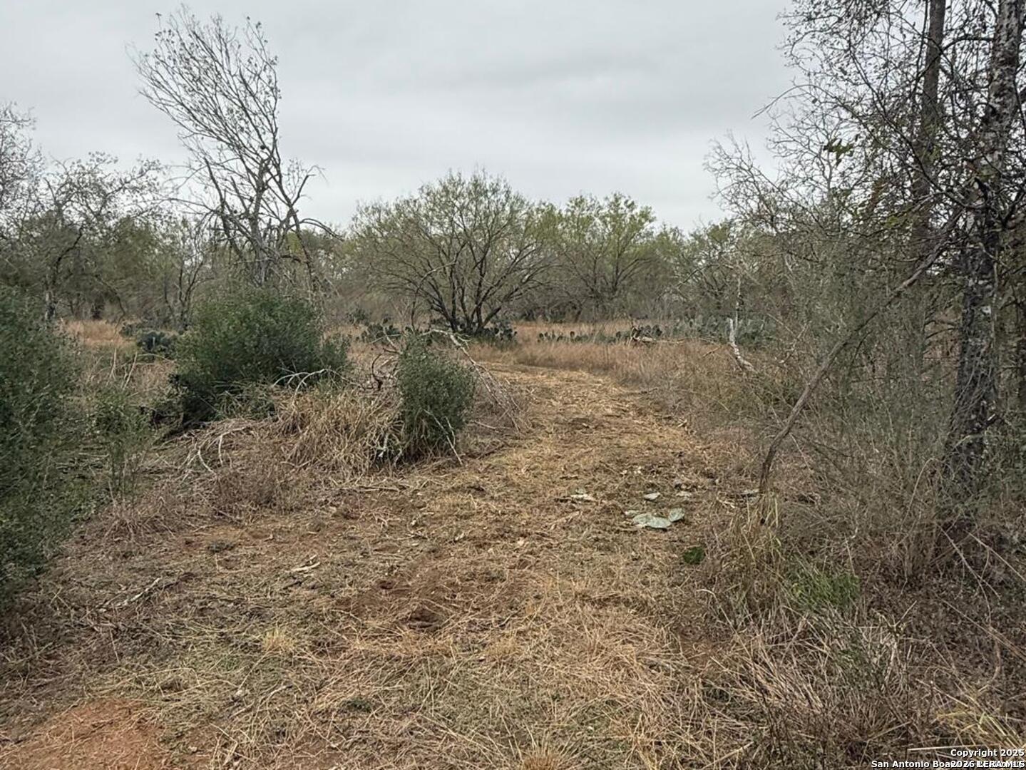 0 Gidley Atascosa TX 78002