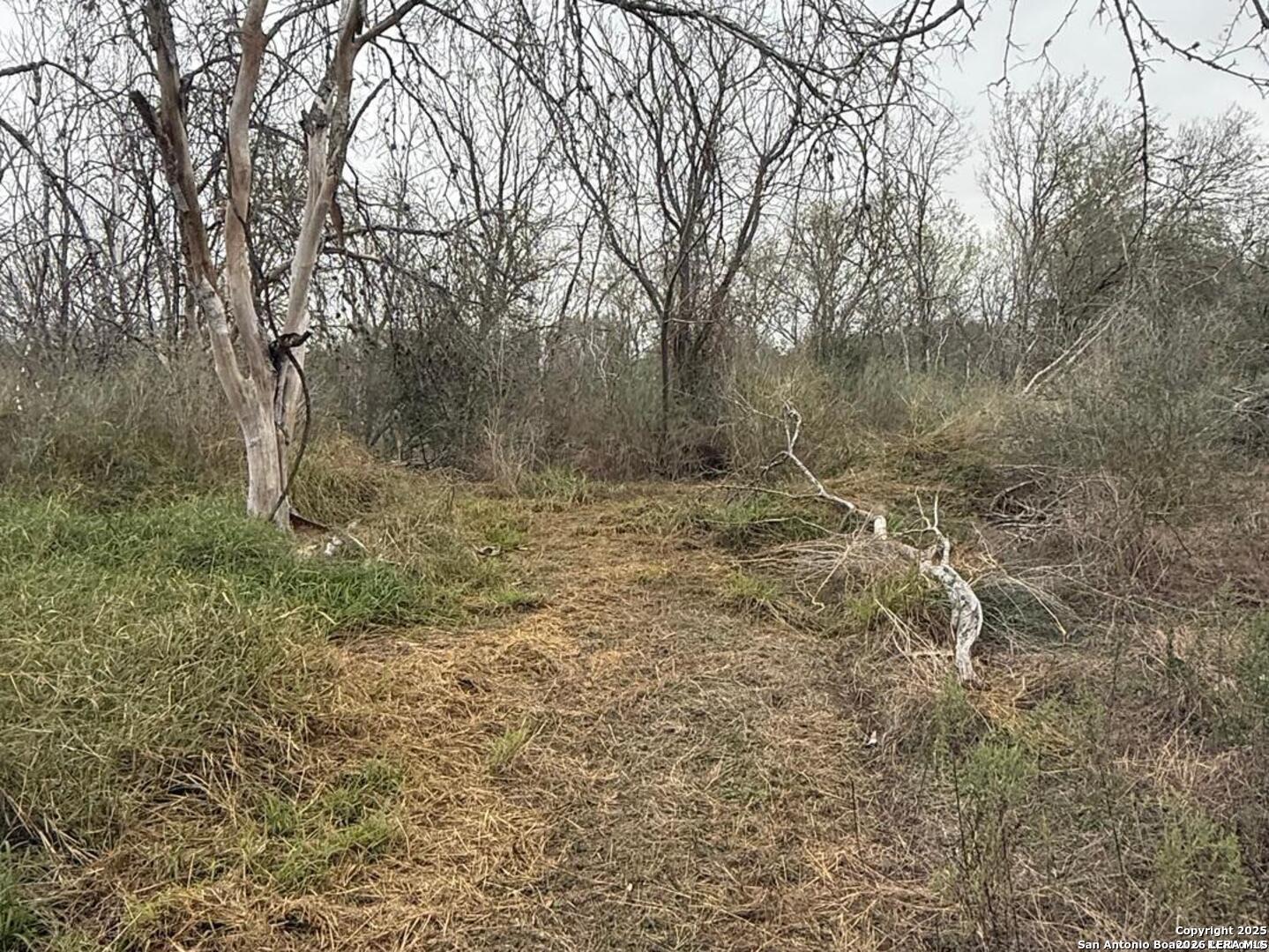 0 Gidley Atascosa TX 78002