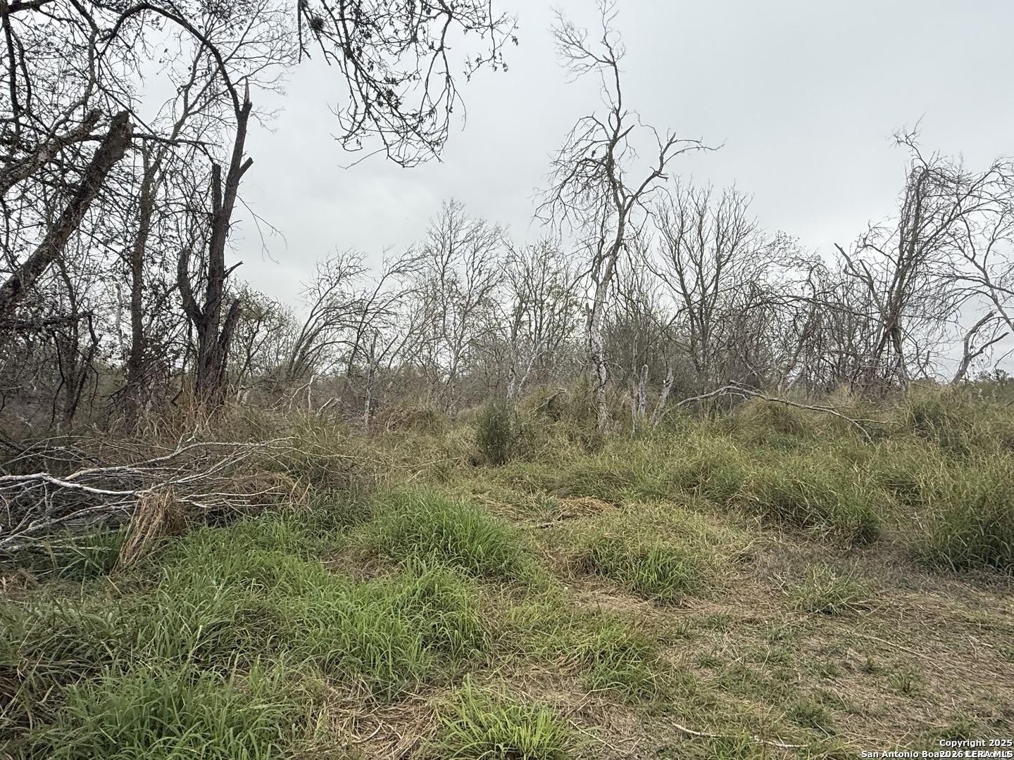 0 Gidley Atascosa TX 78002