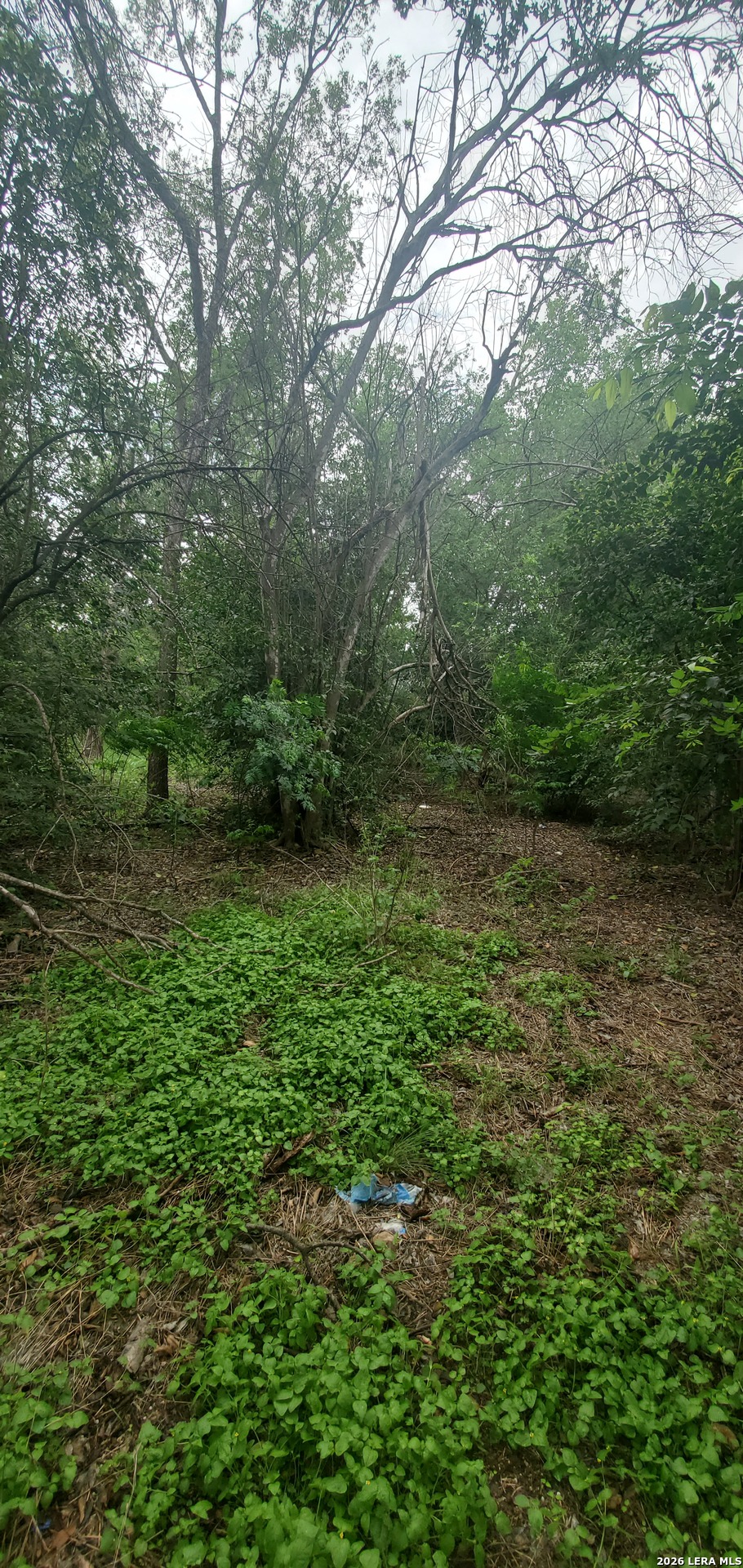 354 Bundy San Antonio TX 78220