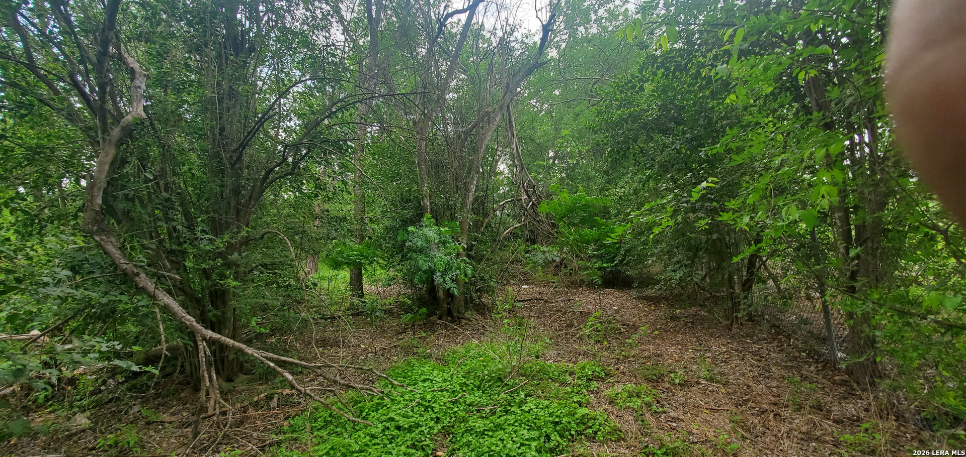 354 Bundy San Antonio TX 78220