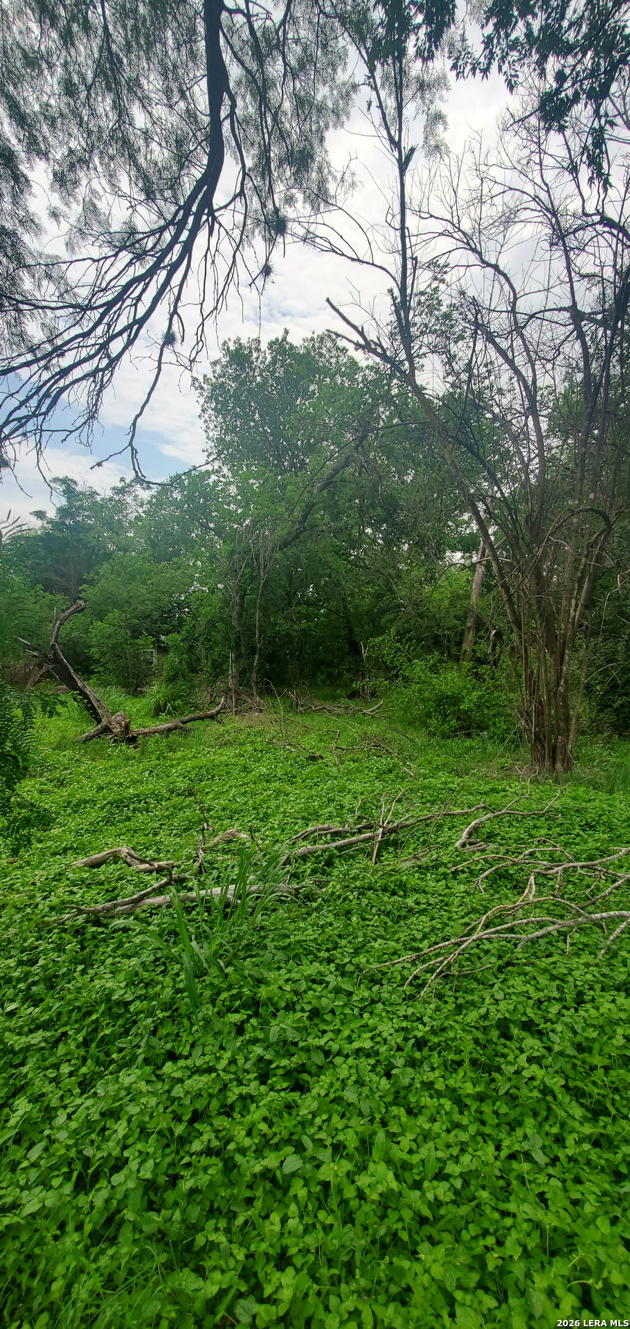 354 Bundy San Antonio TX 78220
